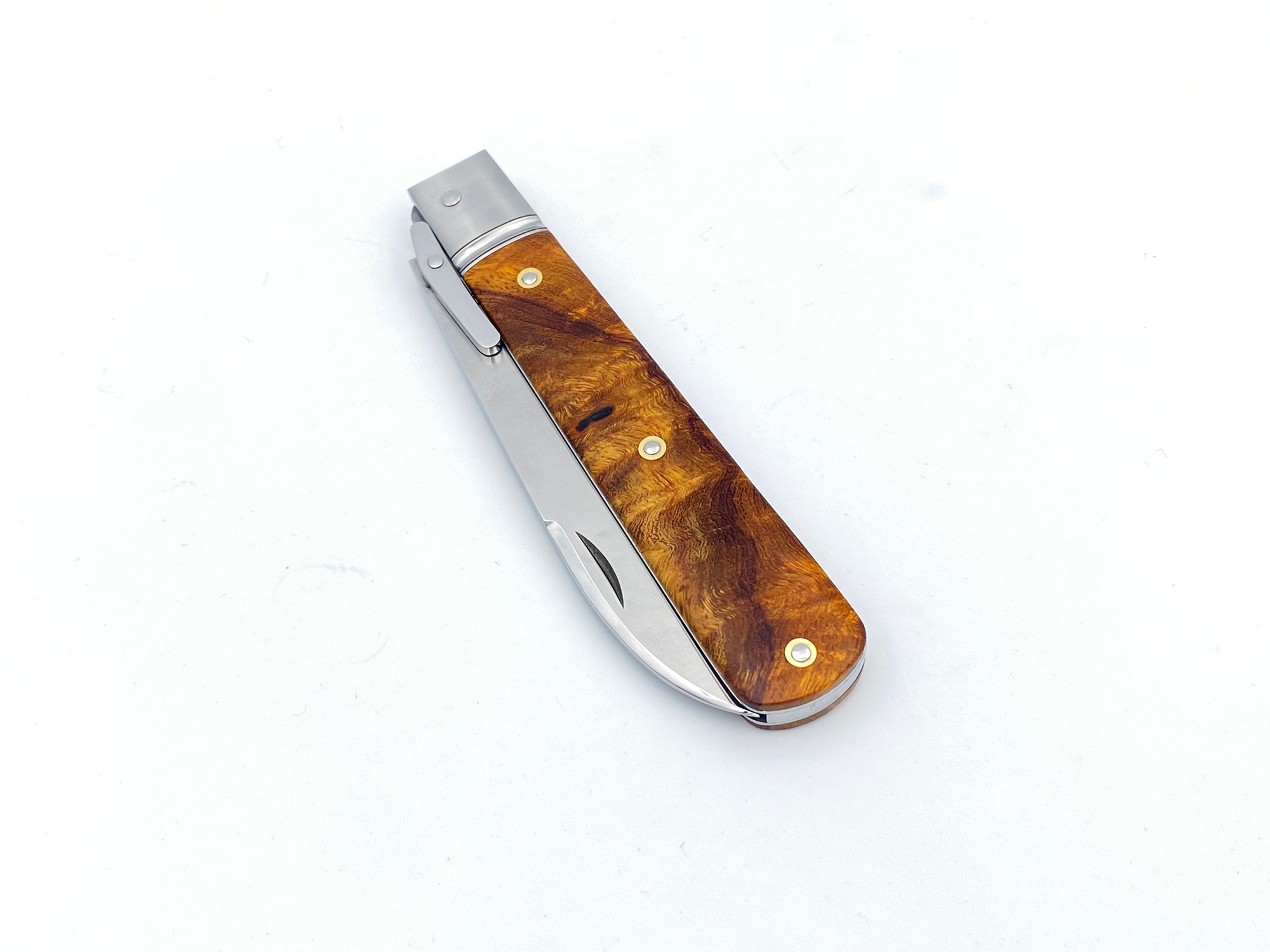 Romain-Alvarez_Pradel_garde-escamotable-bois-de-fer